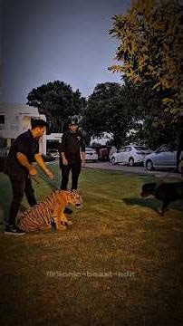 The difference between a pet and a predator. ⚡️