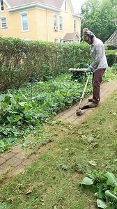 Shocking Satisfying Weed Eater Stihl String Trimmer on Patio-001 | Mini Lawncare