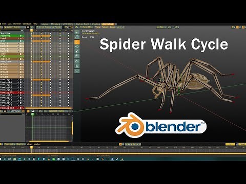 How to Animate a Spider Walk Cycle in Blender
