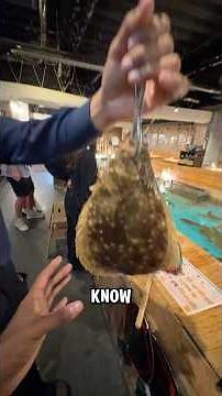 POV: In Tokyo they make you fish before serving your food 🐟🇯🇵