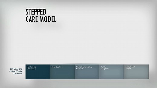 Stepped Care Model