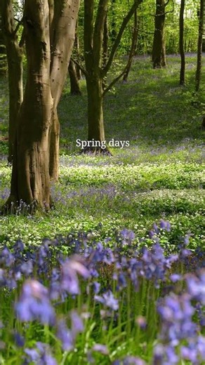 Spring Day in Northern Ireland