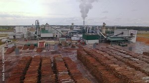 Machine or loader rides in warehouse, loads logs or timber on conveyor. Wood processing at a woodworking plant. Wood supply from warehouse to workshop. Aerial view. Air shoot Stock Video