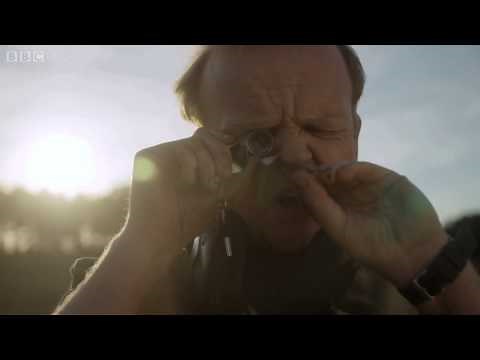What you got? - Detectorists: Episode 1 Preview - BBC