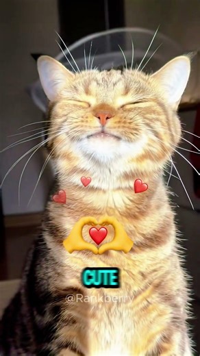 She Opened Her Door…And Chaos Exploded! 😱💧