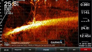 2.8K views · 14 reactions | Watch this footage from #PanoptixLiveScope as a bass follows the bait down to the bottom. Garmin Fish & Hunt #FishGarmin #GarminPro #GarminFishHunt | Fisherman's Handbook | Facebook