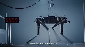Meet the robotic dog built by a Chinese robotics company. With a top speed of 10 meters per second, the robot dog can sprint 100 meters in 10 seconds! | XuQinduo
