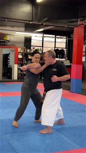 Heian Godan Bunkai Coach @katsutirujr | Karate Science