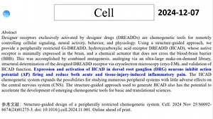 Cell—化学遗传技术研究重磅：科学家研发特异性调控周围神经细胞活动的新型化学遗传系统HCAD