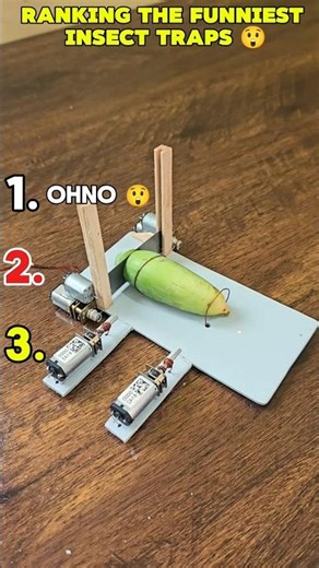 Ranking Insect Traps That Worked Perfectly 😎