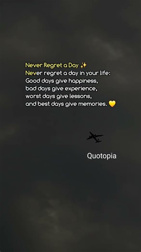 Never Regret a Day in Your Life 🌅 #LifeQuotes #Shorts