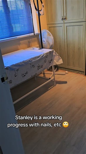 I am not slating dog groomers ,you all do a fantastic job,and it was great just dropping him off and he came back all done,but it's not for me. #PetsOfTikTok #tik_tok #Cockapoo #fypppppppppppppp #dogsoftiktok