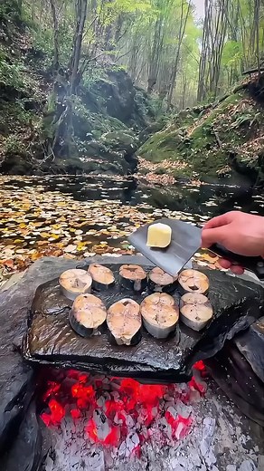 Outdoor Cooking in the Forest: Simple ASMR Nature Recipes
