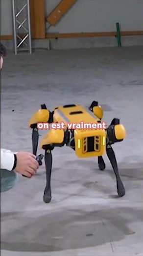 J'ai adopté un chien robot