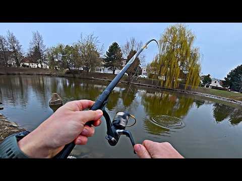 Carp Wouldn’t Stop Biting! 😳 2 Hours of NON-STOP Action (One Float Rod)