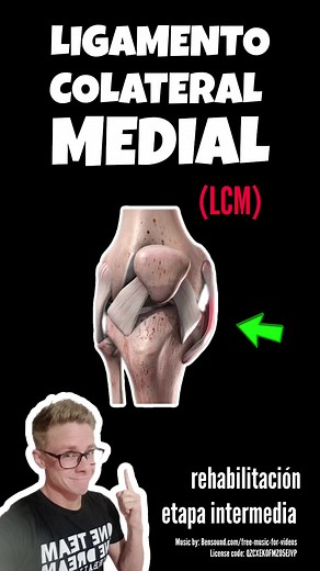 Rehabilitación del Ligamento Colateral Medial de la Rodilla: Ejercicios para Lesiones y Recuperación