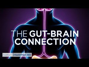 The Gut-Brain Connection: How Your Microbiome Affects Mood & Mental Health