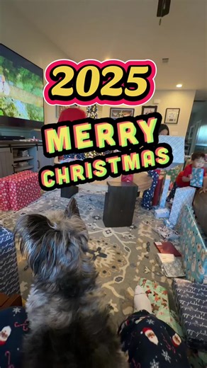 #2025 #christmas2025 #fyp #dollyday | Merry Christmas 2025