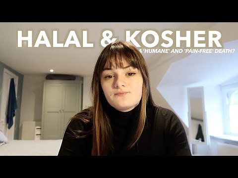 What is Halal and Kosher slaughter? Is it HUMANE and PAIN-FREE? | olivethevegan
