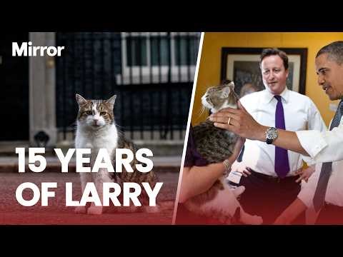 Larry the cat reaches 15 year milestone as Downing Street’s official Chief Mouser