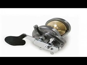 Shimano Torium 14 Stardrag SW Conventional Reel