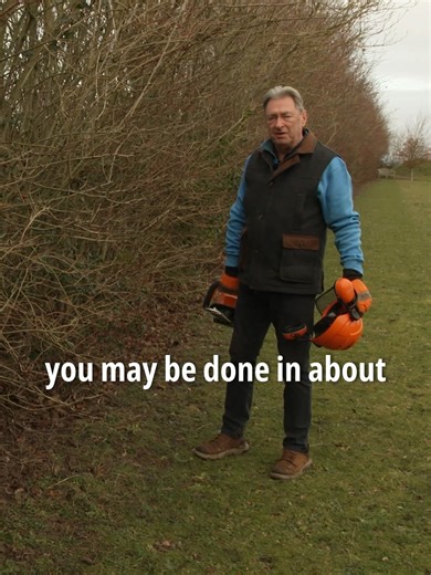 Effective Hedge Trimming Techniques for Gardeners