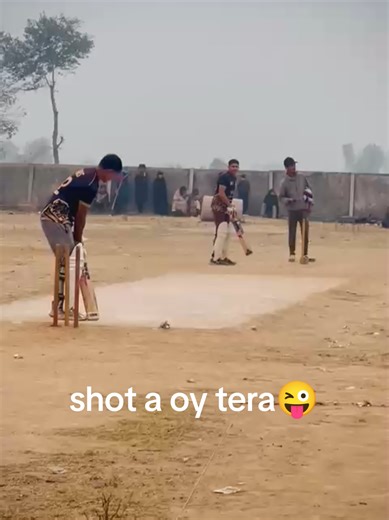 Unique Original Bat Sounds from Nature