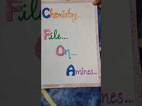 PROJECT FILE ON AMINES | CHEMISTRY CLASS 12