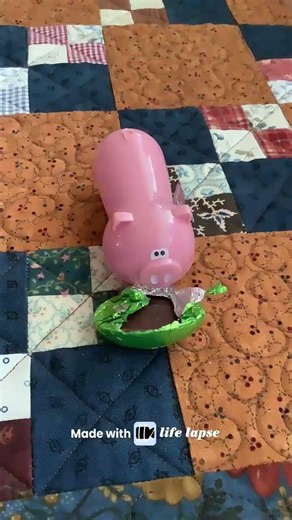 Pig eats candy (stop motion)