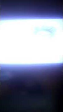 closing to neighborhood animals 2004 DVD reupland