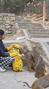 Valentine’s Day Banana Treats for Monkeys