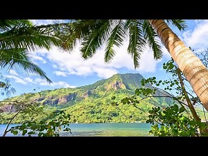 Cozy Tropical Mountain View