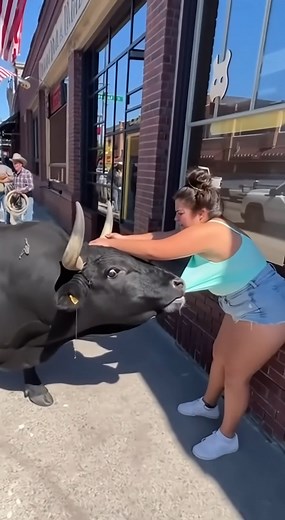 297K views · 978 reactions | A bull bites a pedestrian’s shirt and drags her down the street. | Artificial Creation | Facebook