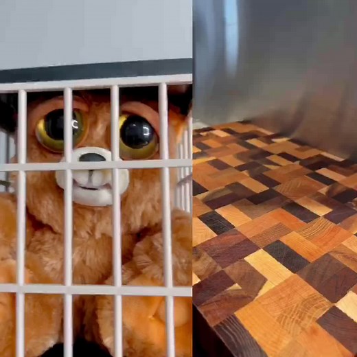 Funny Kitchen Moments with Plush Toys and Cooking