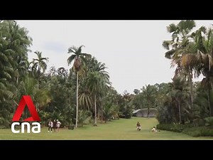 Singapore Botanic Gardens: A look at Singapore's first UNESCO World Heritage Site