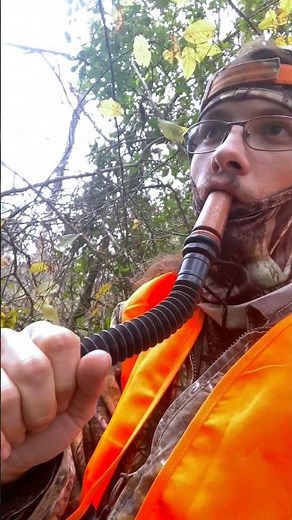 The Best Way To Blow a Grunt Call #deerhunt #hunting