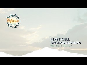 Mast Cell Degranulation - what it looks like