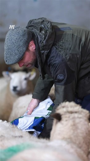 Prince William highlighted the isolation and mental health challenges that farmers face.