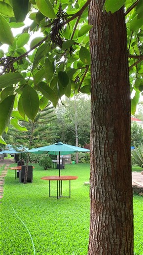 Your happy place 🌳 Breathe, relax, and let nature work its magic. Your sanctuary is calling only at Three Rivers Resort Maragua #NatureRetreat #PeacefulVibes #threerivers #resort #trending