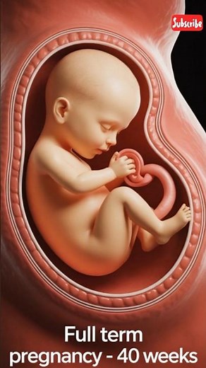 What Is Gestational Age? Pregnancy Weeks Explained by 3D Animation Pregnancy System #pregnancy #baby