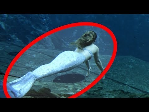 Are Mermaids REAL? Find Out
