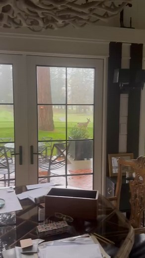 #movingtobainbridgeisland | Kim McLaughlin - Real Estate Broker