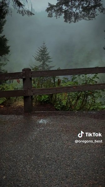 We can sit here for hours, but can only park here for 15 min 😂 #oregon