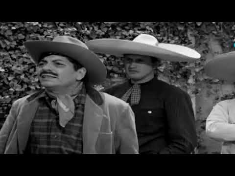 GALLO CORRIENTE GALLO VALIENTE PELICULA COMPLETA CON LUIS AGUILAR Y DEMETRIO GONZALEZ