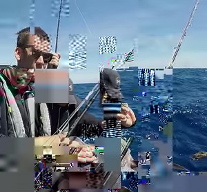 237K views · 4.4K reactions | ️ A few years back the team at Ocean Sports Marine Ltd headed out to White Island. This day trip had it all, plus some tips on bagging Kingies.   Read more about the #2750centrecab: https://bit.ly/2750Centrecab | Stabicraft | Facebook