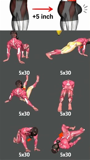 exercise for beginner #shorts #workout