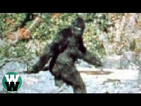 20 Most Convincing Bigfoot Sightings of All Time