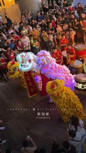 2026 Singapore Wen Yang LED Lion Dance Performance | 新加坡 文扬 發光二極體 舞狮 表演