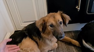 21K views · 3.9K reactions | Angela's story. This poorl girl was...