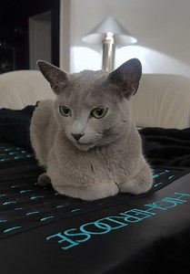 Cozy's Cozy Nights on the PEMF Mat
